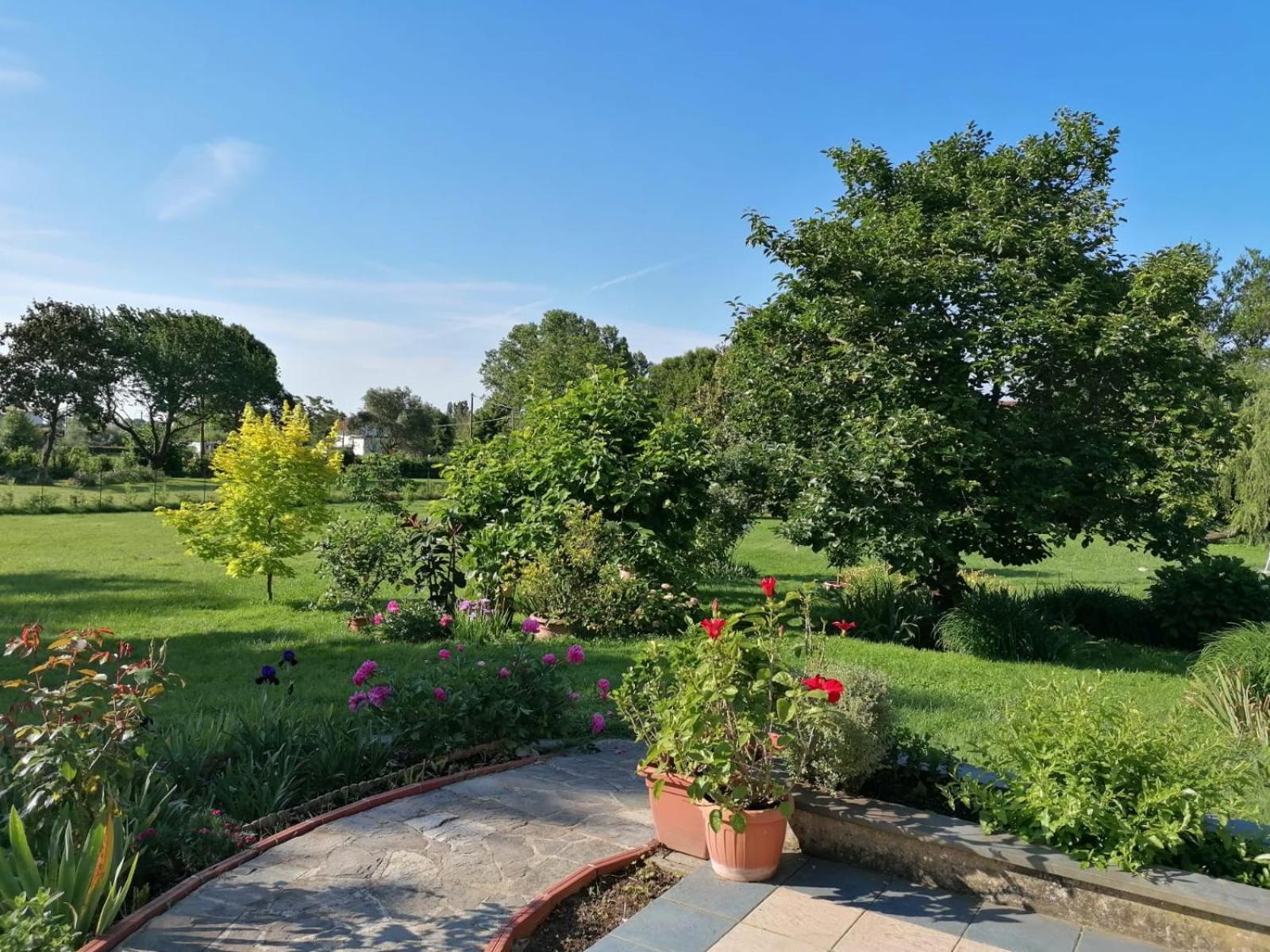 Versilia - Pietrasanta - Le Colmate Guesthouse Tonfano Exteriér fotografie