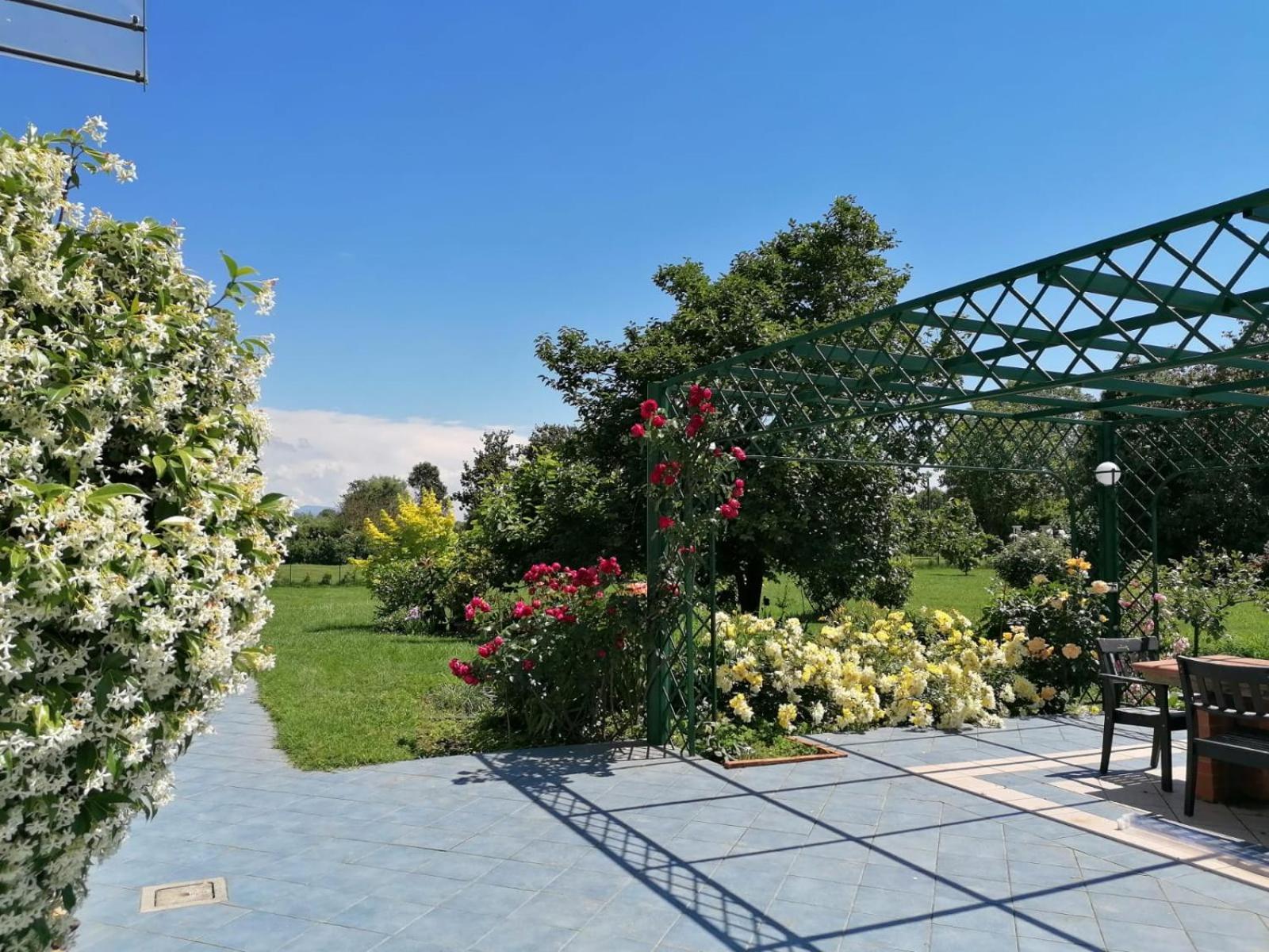 Versilia - Pietrasanta - Le Colmate Guesthouse Tonfano Exteriér fotografie