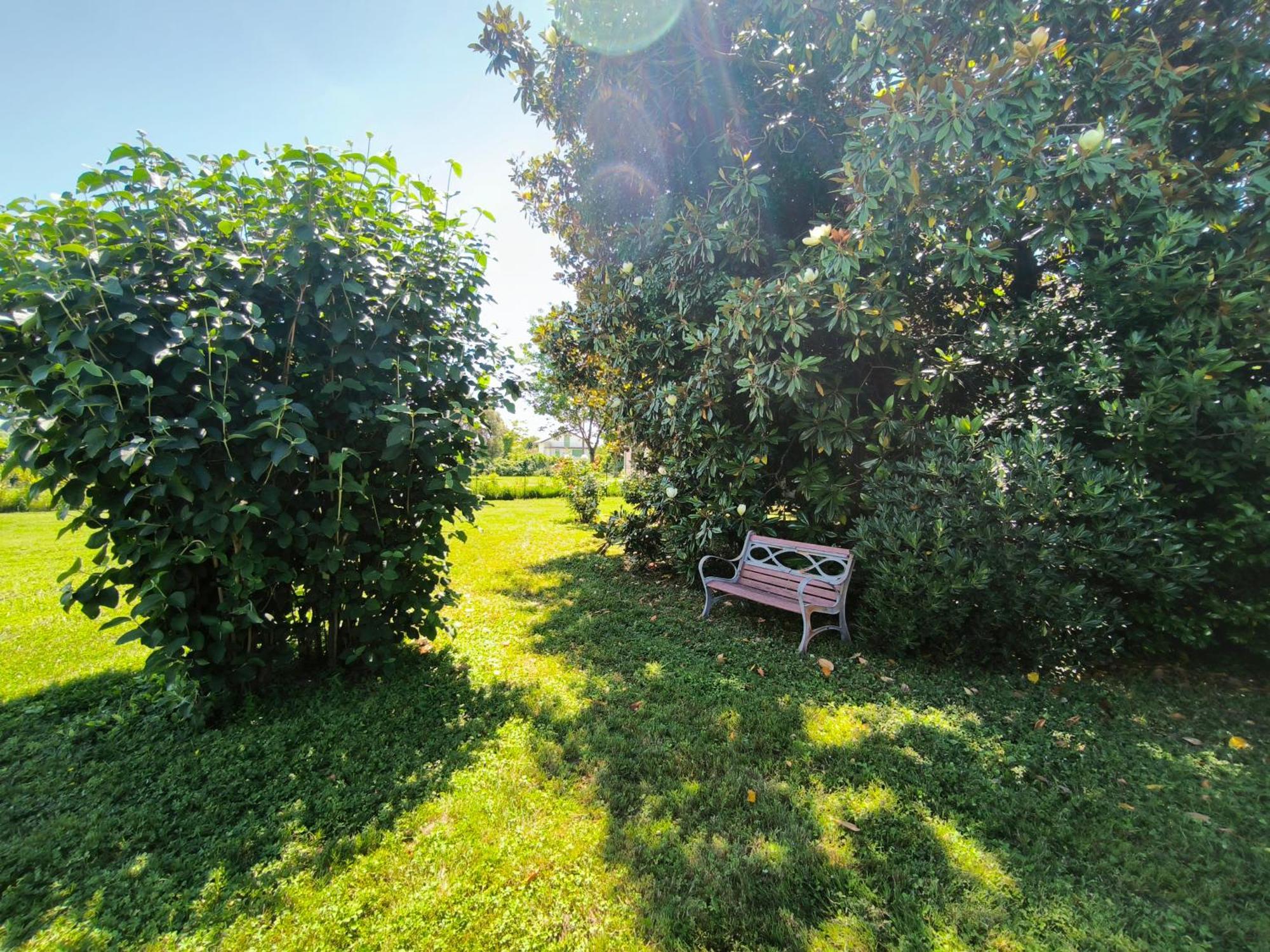 Versilia - Pietrasanta - Le Colmate Guesthouse Tonfano Exteriér fotografie